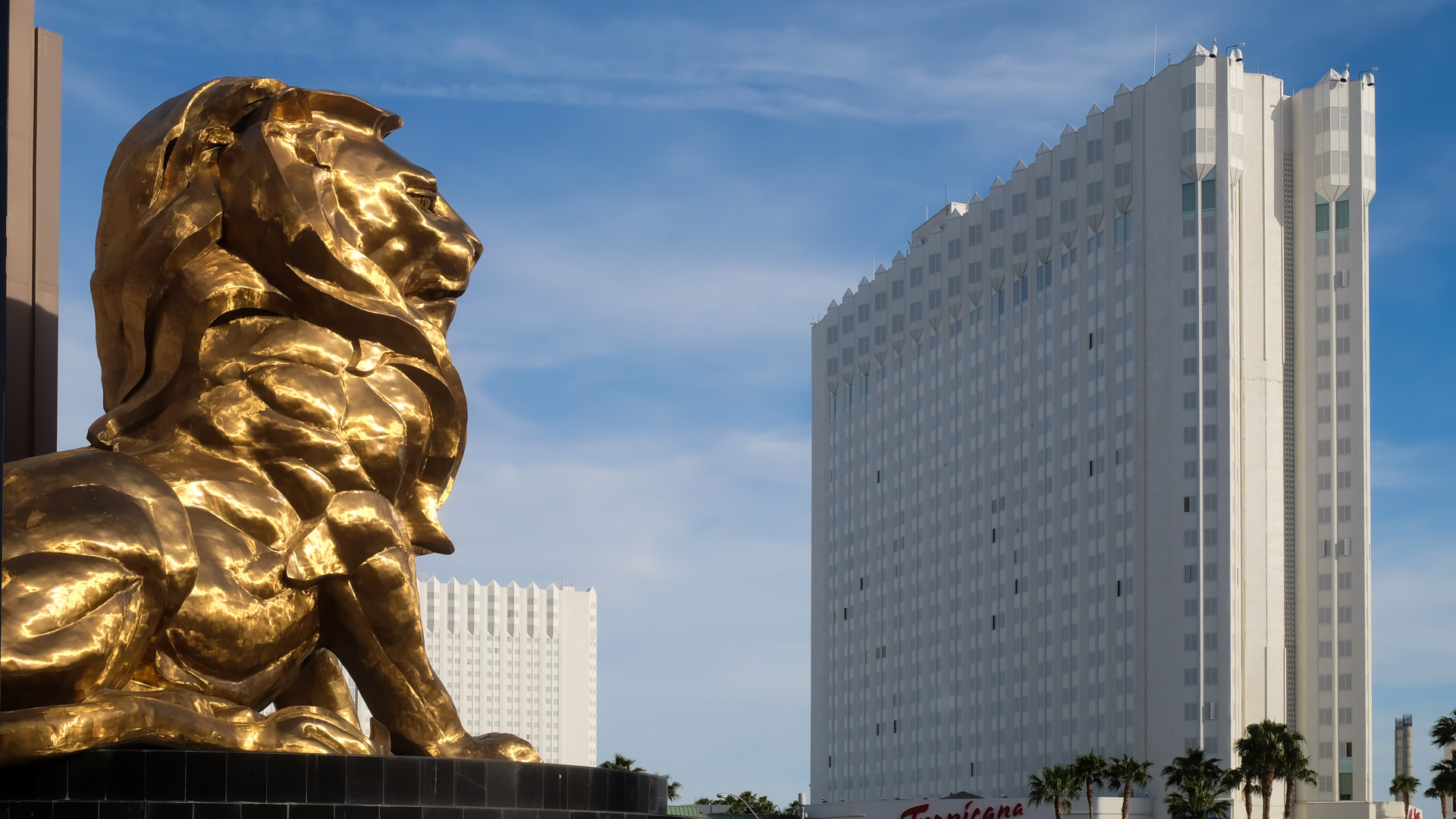 MGM løven. I baggrunden ses Hotel Tropicana - Foto: André Stæhr